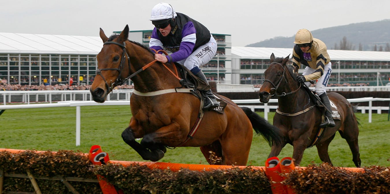 Tom Malone Bloodstock | National Hunt & Flat Bloodstock Agent