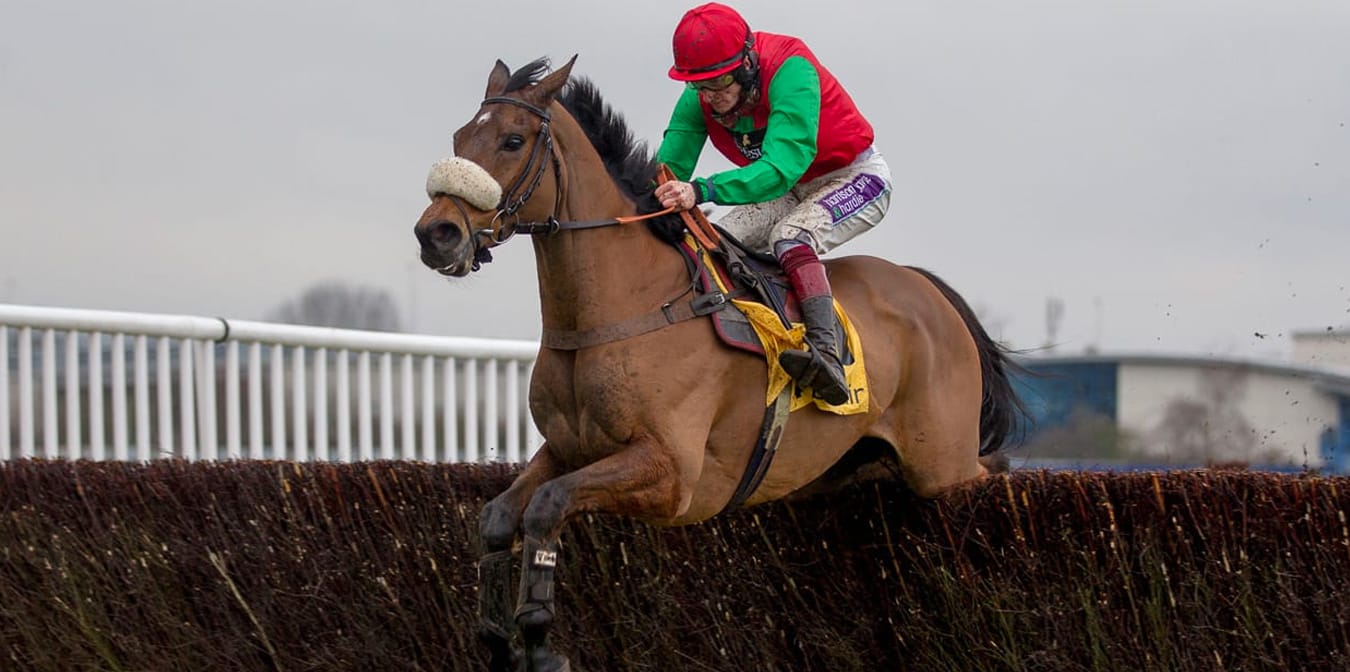 Tom Malone Bloodstock | National Hunt & Flat Bloodstock Agent