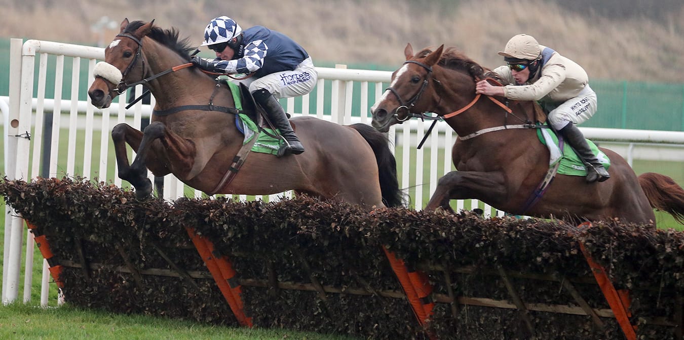 Tom Malone Bloodstock | National Hunt & Flat Bloodstock Agent