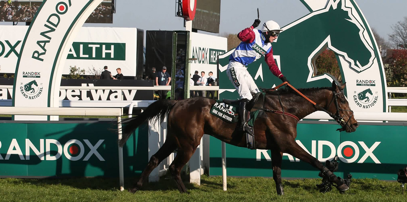 Tom Malone Bloodstock | National Hunt & Flat Bloodstock Agent