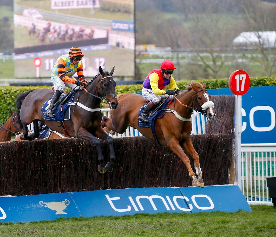 Tom Malone Bloodstock | National Hunt & Flat Bloodstock Agent