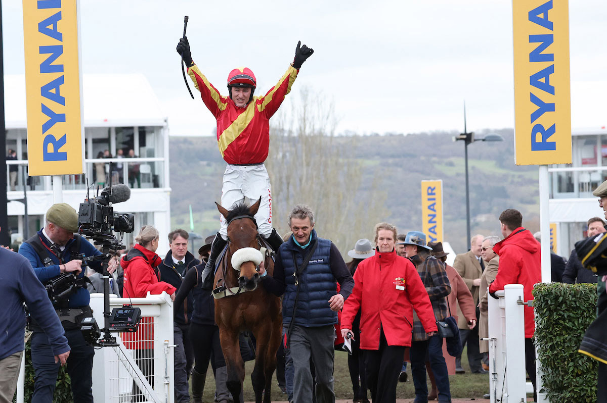 cOOLE-CODY-185-CHELTENHAM